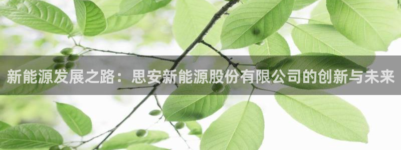 球盟会唯一