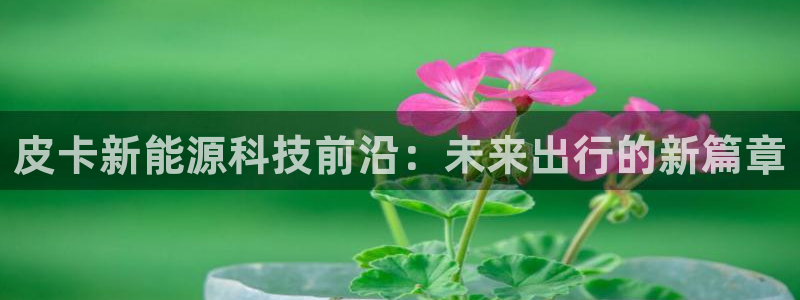 球盟会官方最新入口：皮卡新能源科技前沿：