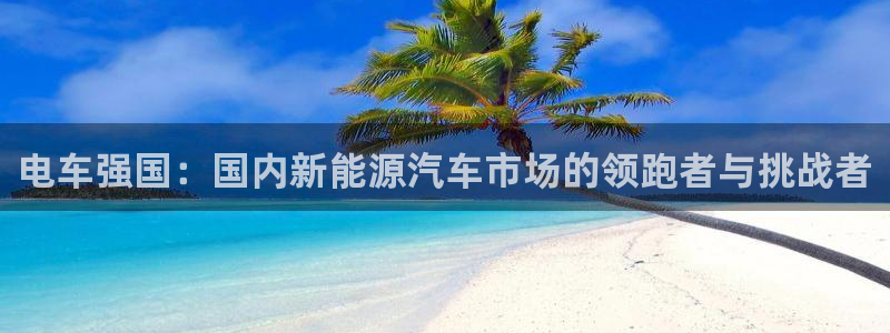 球盟会官方网址入口：电车强国：国内新能源